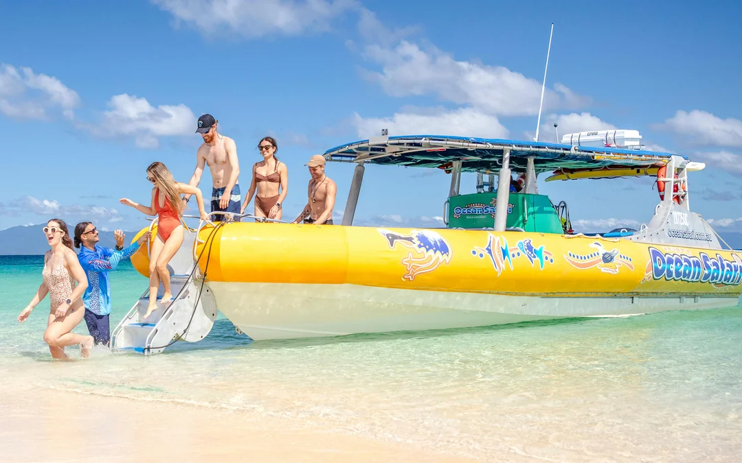 From Cape Tribulation: Great Barrier Reef Guided Snorkel & Eco Tour Image 2