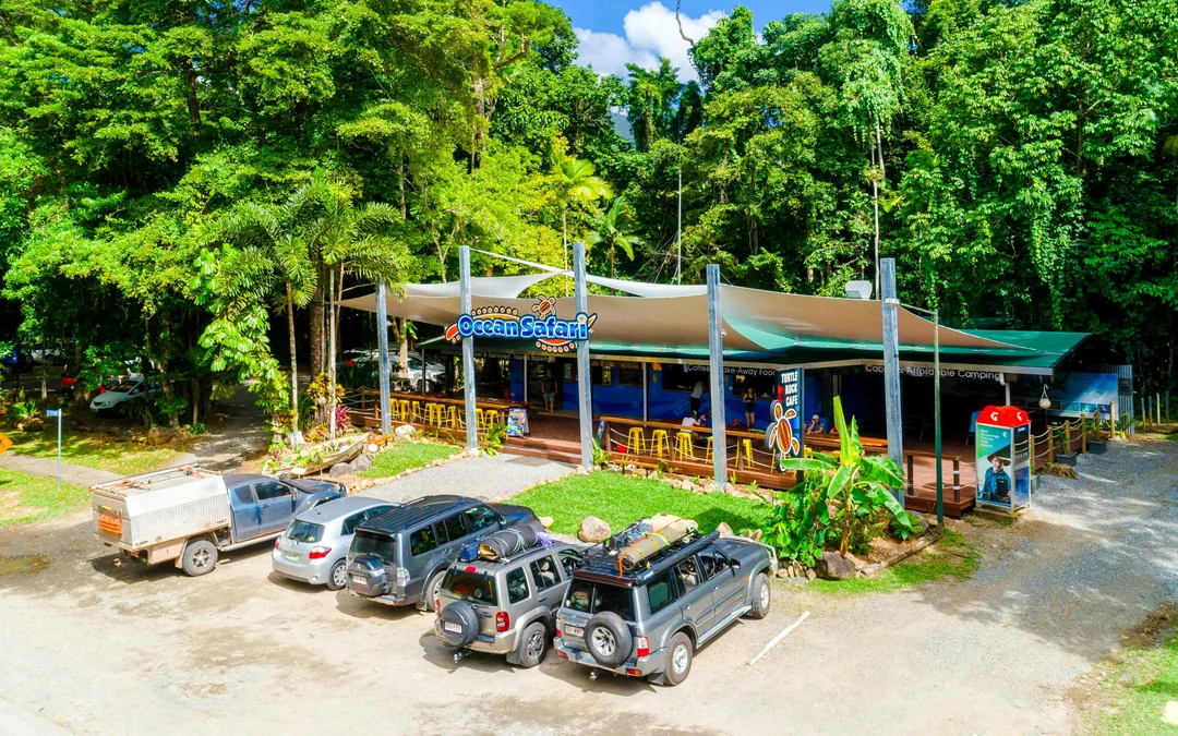 From Cape Tribulation: Great Barrier Reef Guided Snorkel & Eco Tour Image 3