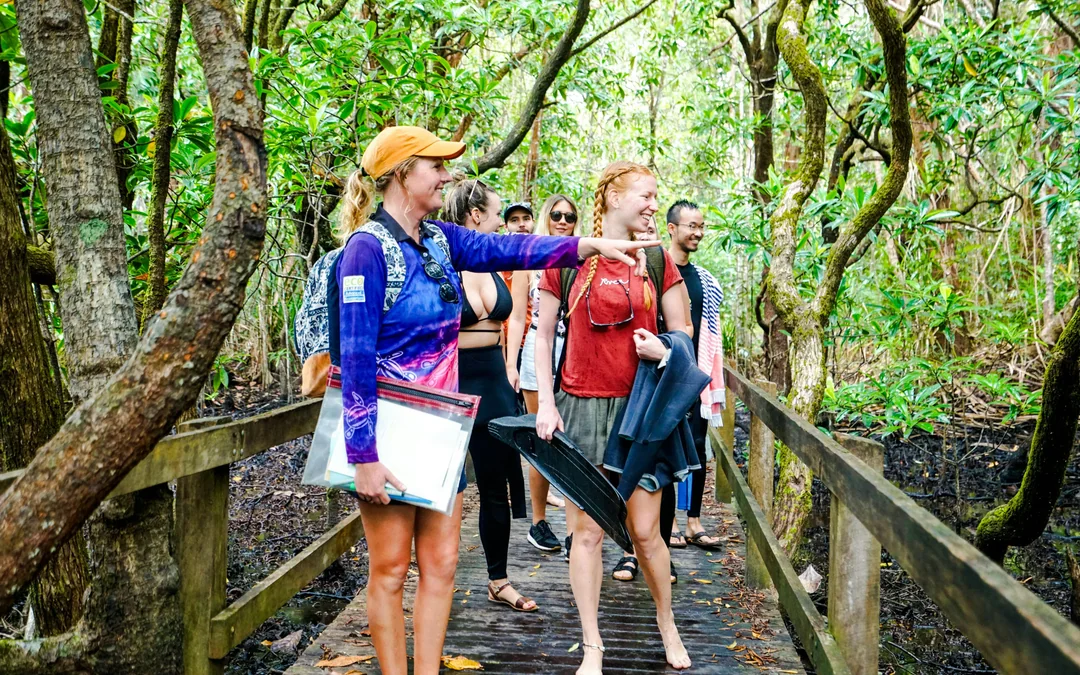 From Cape Tribulation: Great Barrier Reef Guided Snorkel & Eco Tour Image 4