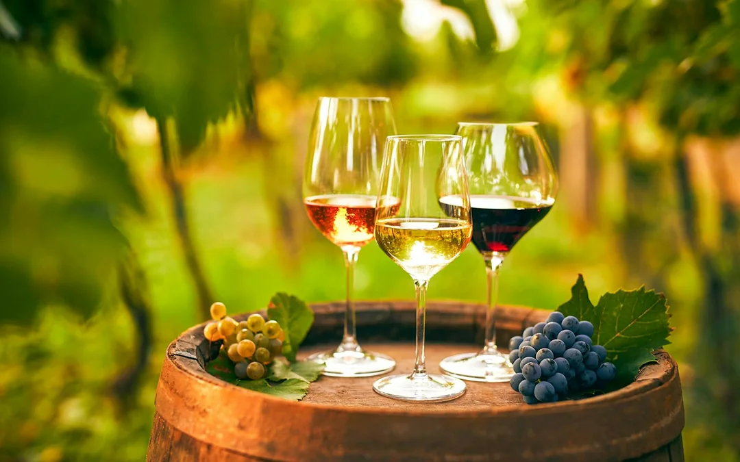 From Cappadocia: Vineyard Tour & Wine Tasting Among Fairy Chimneys Image 8