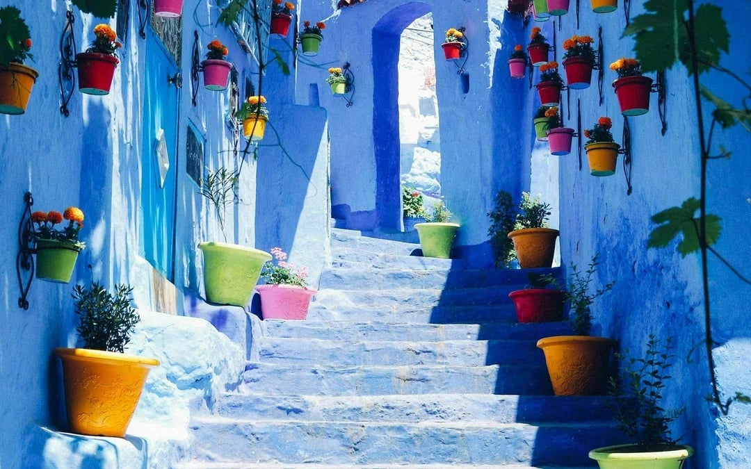 From Casablanca by Train: 2-Day Tangier & Chefchaouen Tour with Overnight in Tangier Image 1