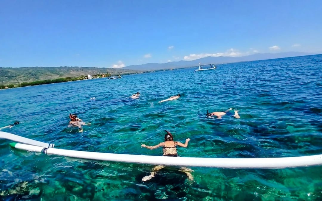 From Central Bali: Private Lovina Dolphin-Watching Boat Tour including Swimming with Dolphins and Snorkeling Image 2