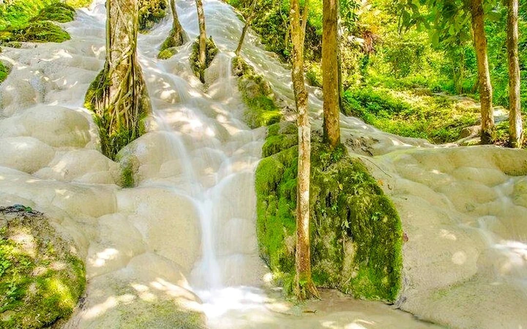 From Chiang Mai: Bua Thong Sticky Waterfalls and Mae Ngat Dam Boat Tour Image 7