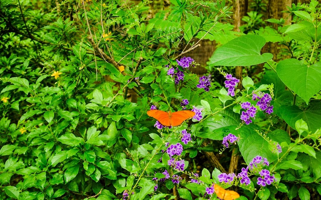 From Chiang Mai: Chiang Dao Cave and Hill Tribe Villages Tour Image 8
