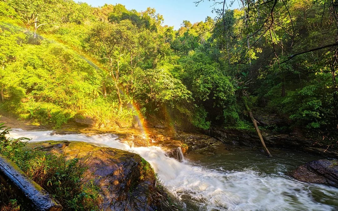 From Chiang Mai: Doi Inthanon National Park Full-Day Join in Tour with Lunch & Transfers Image 8