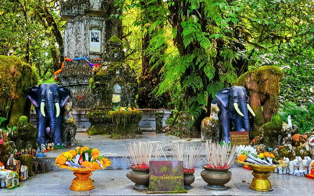 From Chiang Mai: Doi Inthanon National Park Full-Day Private Tour with Transfers Image 4