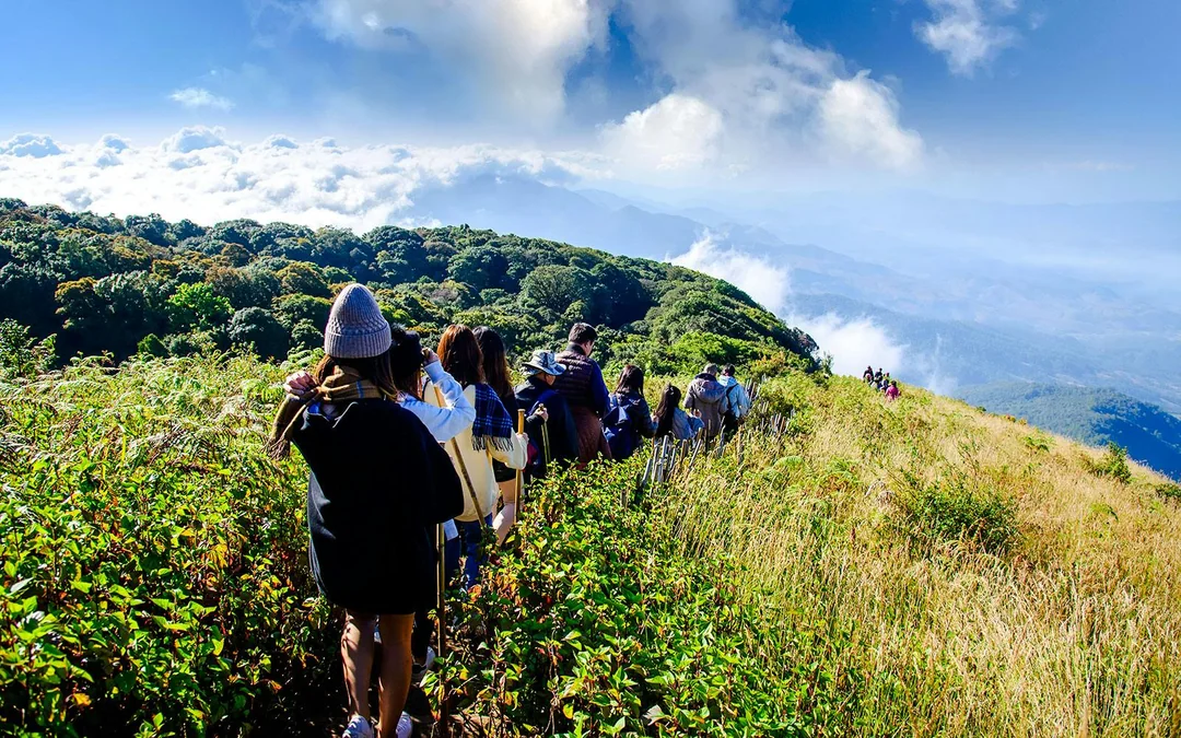 From Chiang Mai: Doi Inthanon National Park Full-Day Tour with Kew Mae Pan Trail Guided Hike Image 2