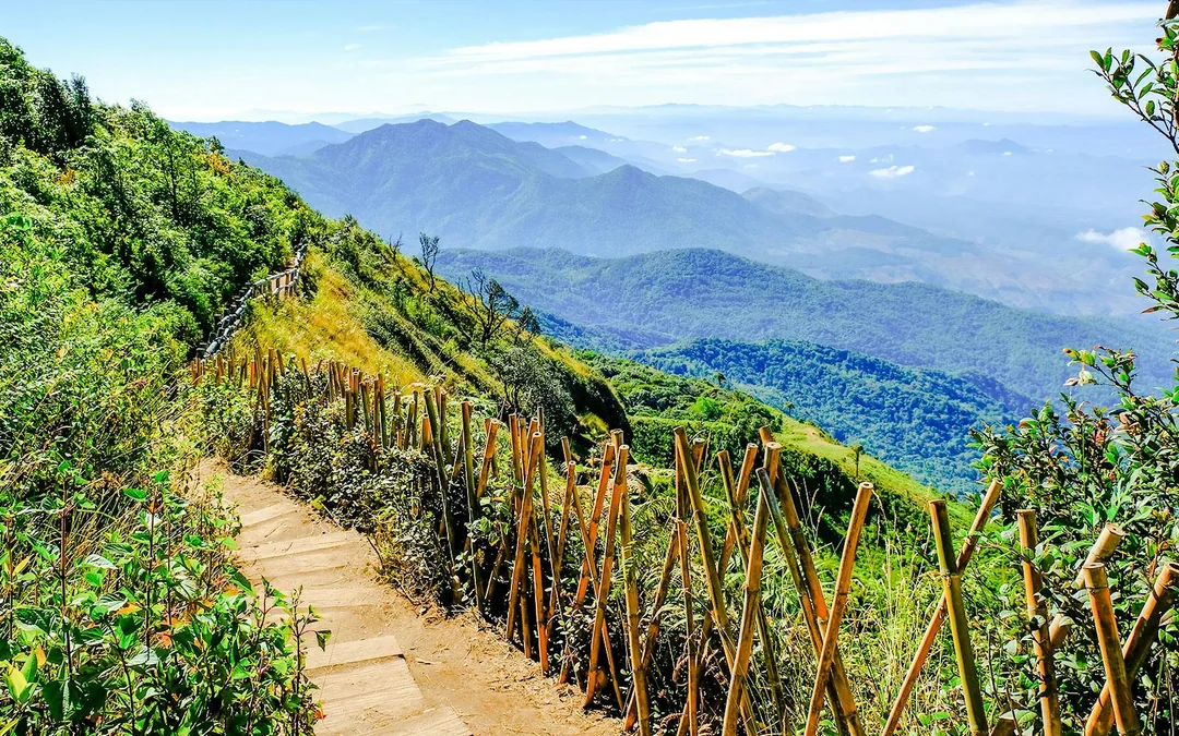 From Chiang Mai: Doi Inthanon National Park Full-Day Tour with Kew Mae Pan Trail Guided Hike Image 4