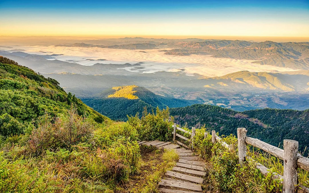 From Chiang Mai: Doi Inthanon National Park Full-Day Tour with Kew Mae Pan Trail Guided Hike Image 8