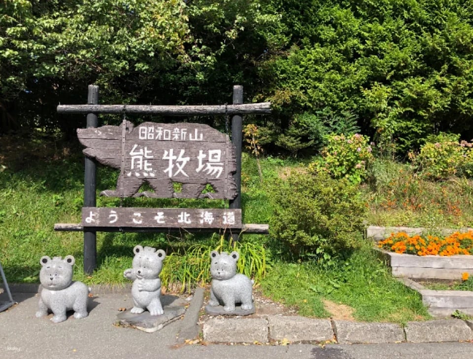 Showa Shinzan Bear Ranch E-Ticket | Hokkaido