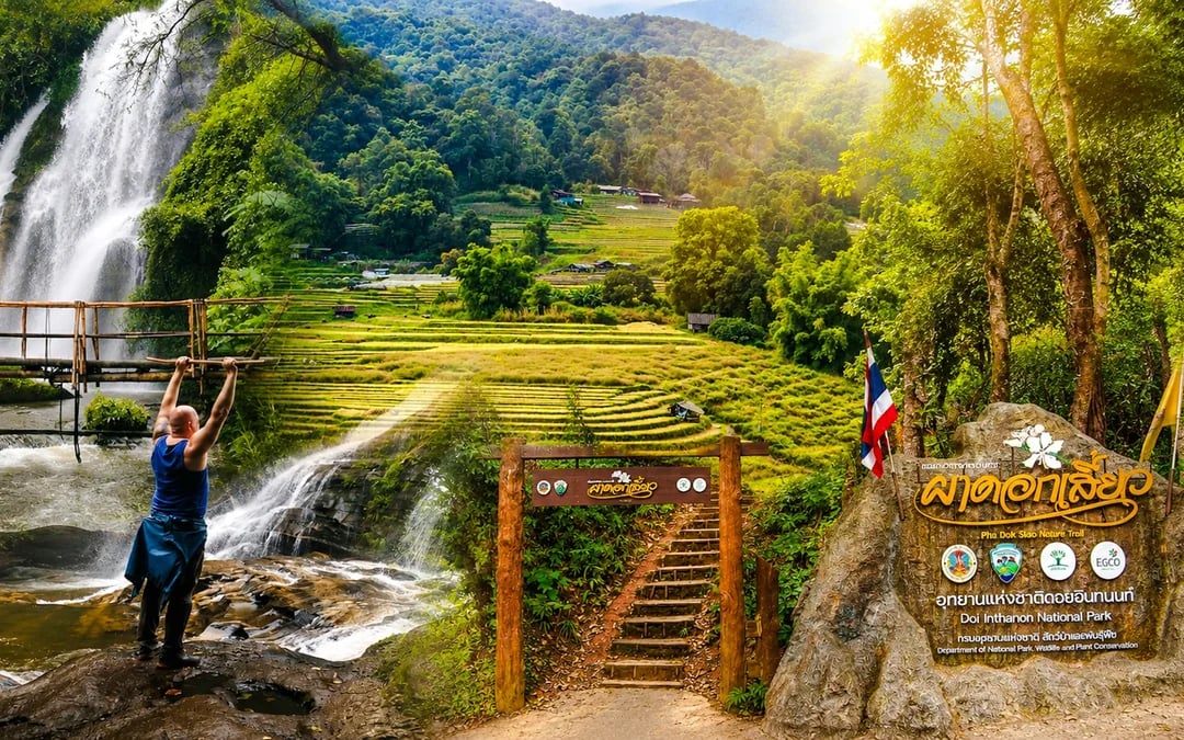 From Chiang Mai: Doi Inthanon National Park Private Guided Tour with Pha Dok Siew Nature Trail Hike Image 1