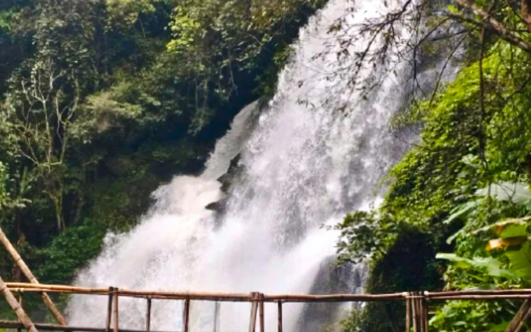 From Chiang Mai: Doi Inthanon National Park Private Guided Tour with Pha Dok Siew Nature Trail Hike Image 2
