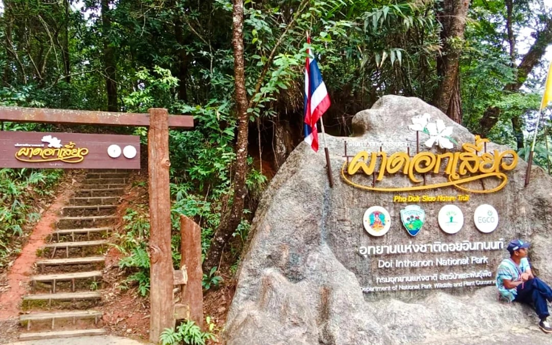 From Chiang Mai: Doi Inthanon National Park Private Guided Tour with Pha Dok Siew Nature Trail Hike Image 4