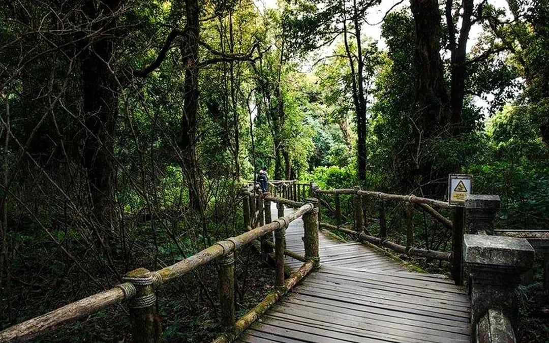 From Chiang Mai: Doi Inthanon National Park Small-Group Day Trip Image 2