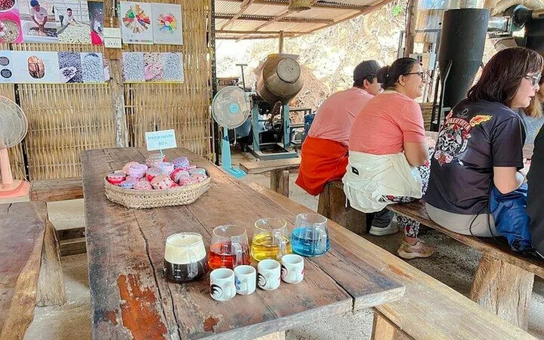 From Chiang Mai: Doi Inthanon National Park Small-Group Day Trip Image 6