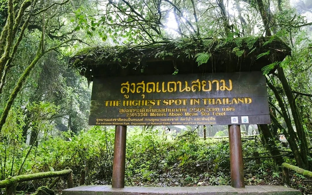 From Chiang Mai: Doi Inthanon National Park Tour with Twin Pagodas and Wachirathan Waterfall Image 5