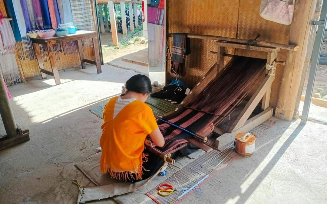 From Chiang Mai: Doi Inthanon Private Van Charter with Driver Image 3