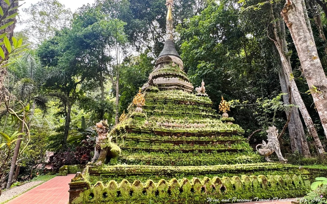 From Chiang Mai: Doi Suthep Temple and Wat Pha Lat Private Van Charter for Up to 8 Passengers Image 4