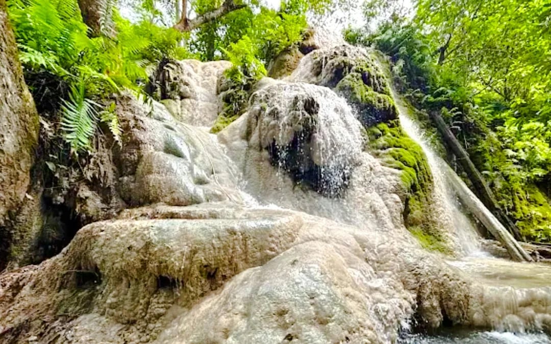 From Chiang Mai: Sticky Waterfall Tour with Private Driver Image 2