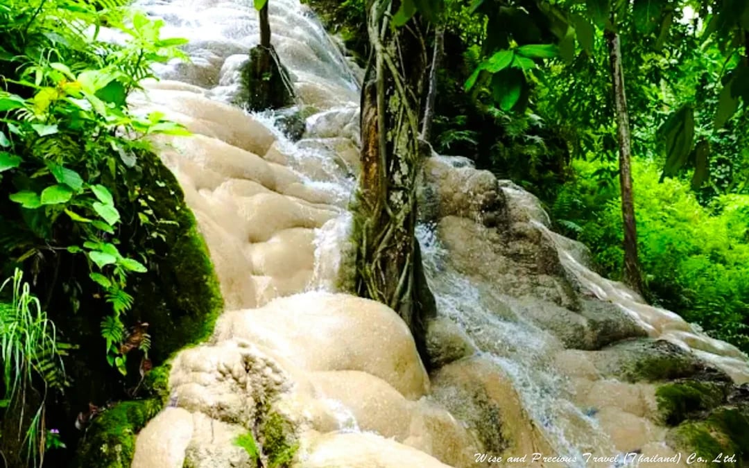 From Chiang Mai: Sticky Waterfall Tour with Private Driver Image 3