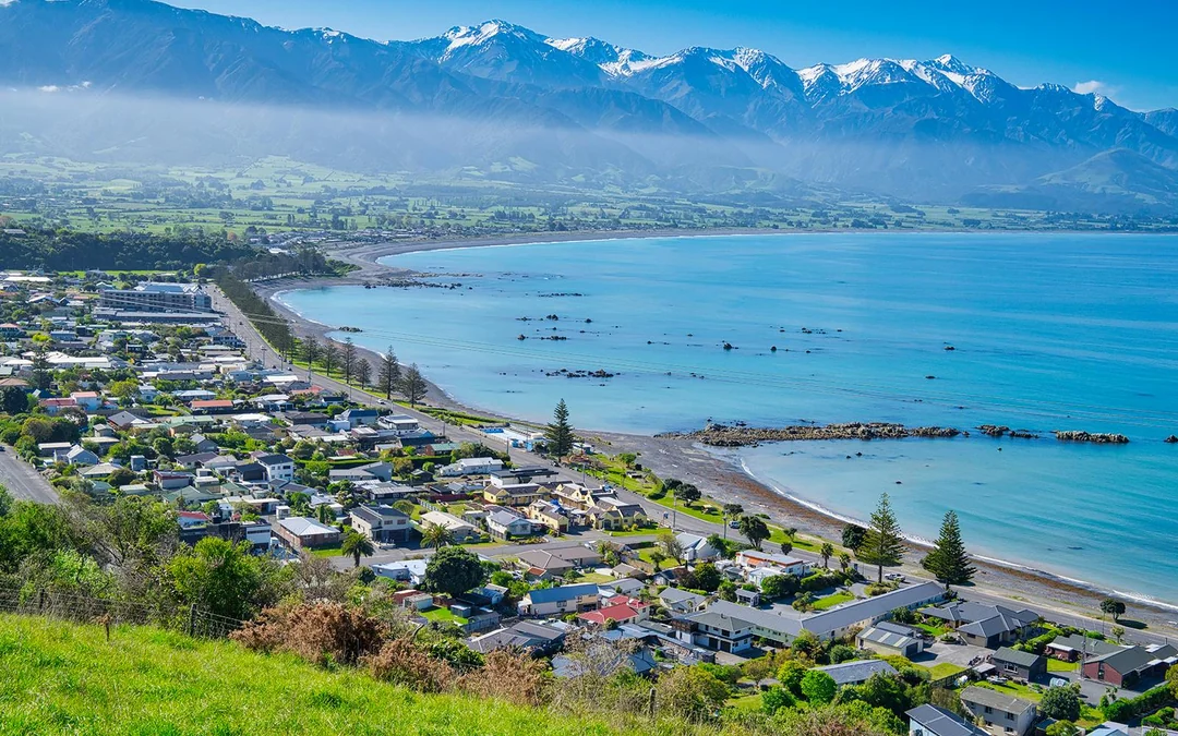 From Christchurch: Kaikoura Whale Watch Day Trip with Round-Trip Transfers Image 8