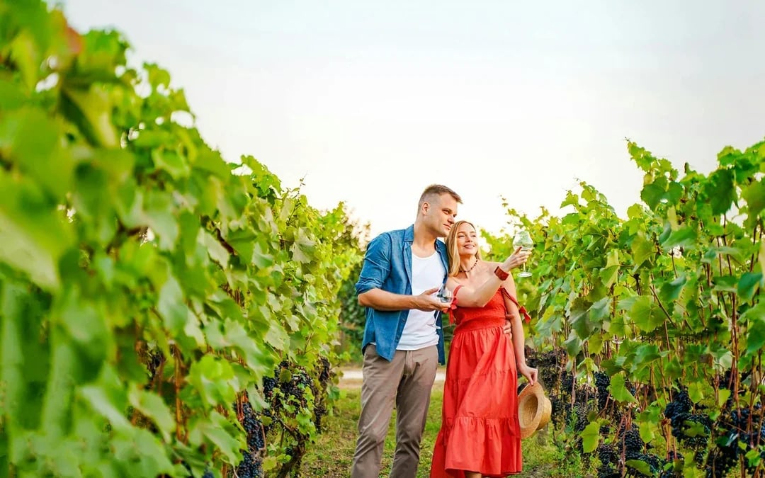 From Colmar: Haut-Koenigsbourg Castle & Alsace Villages Tour with Wine Tasting Image 1