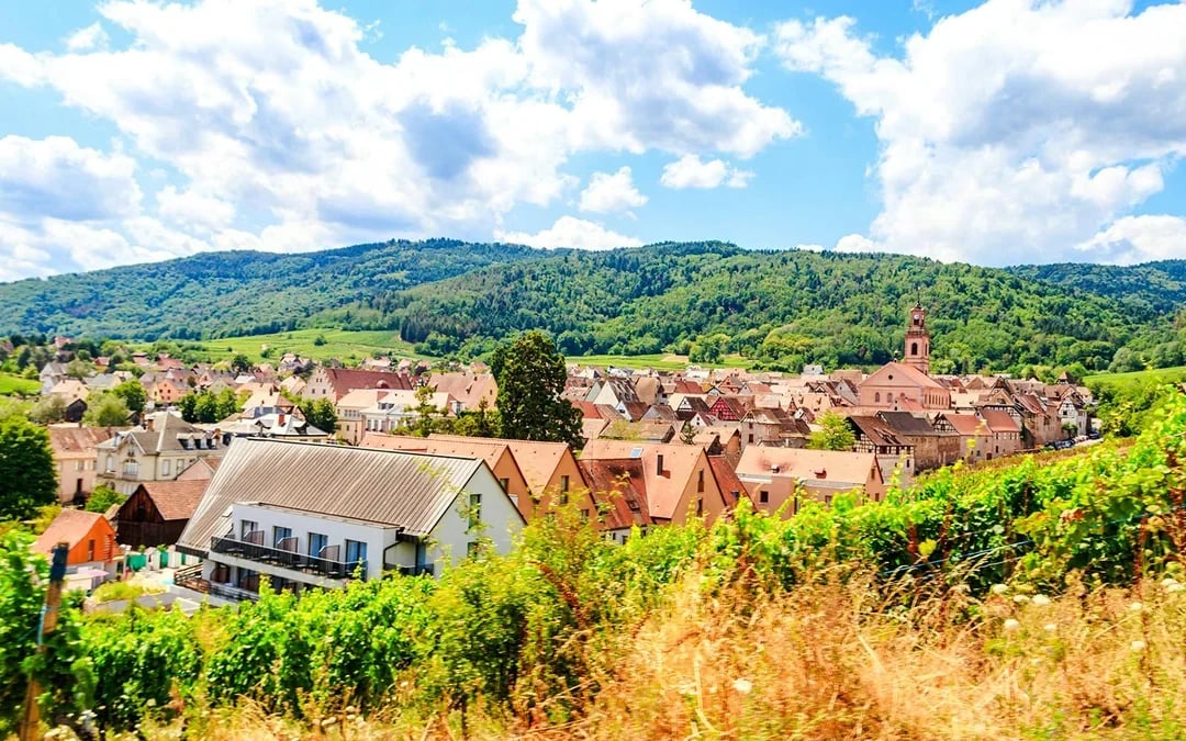 From Colmar: Haut-Koenigsbourg Castle & Alsace Villages Tour with Wine Tasting Image 3