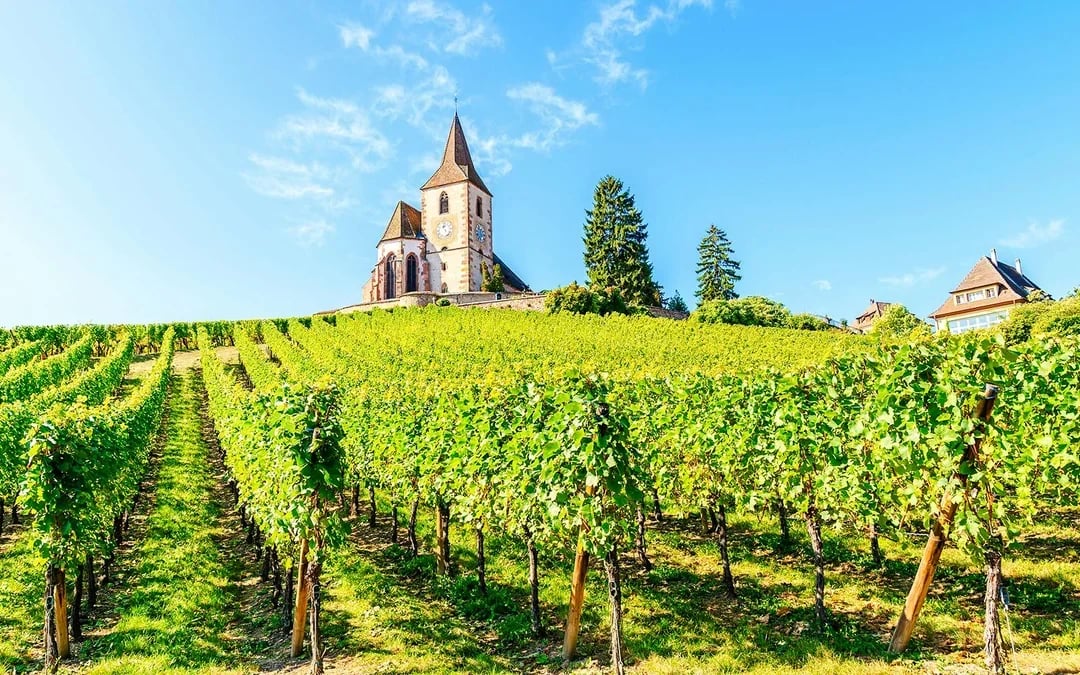 From Colmar: Haut-Koenigsbourg Castle & Alsace Villages Tour with Wine Tasting Image 6