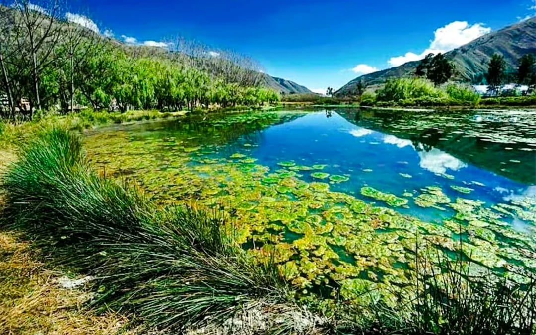 From Cusco: Abode of the Gods, Valley of the Goblins, Huasao Wetland & Ents Park Tour Image 2