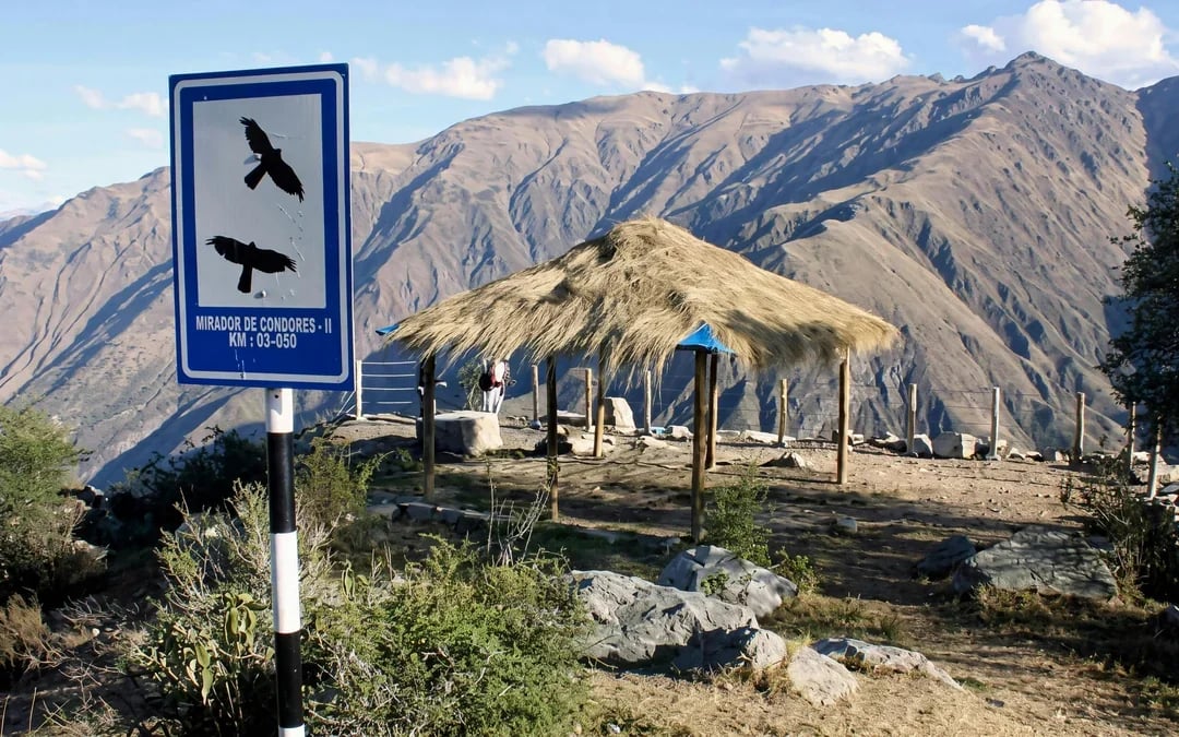 From Cusco: Chonta Canyon & Andean Condor Flight Tour with Lunch Image 2