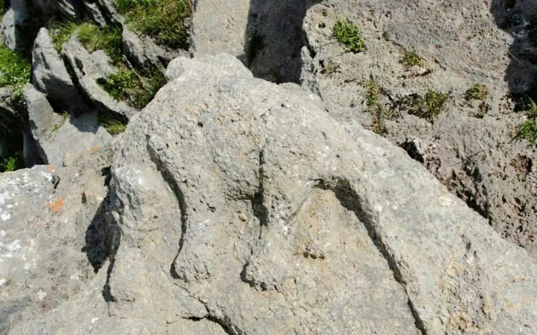 From Cusco: Puma Orqo and Maukallaqta Archaeological Tour Image 5