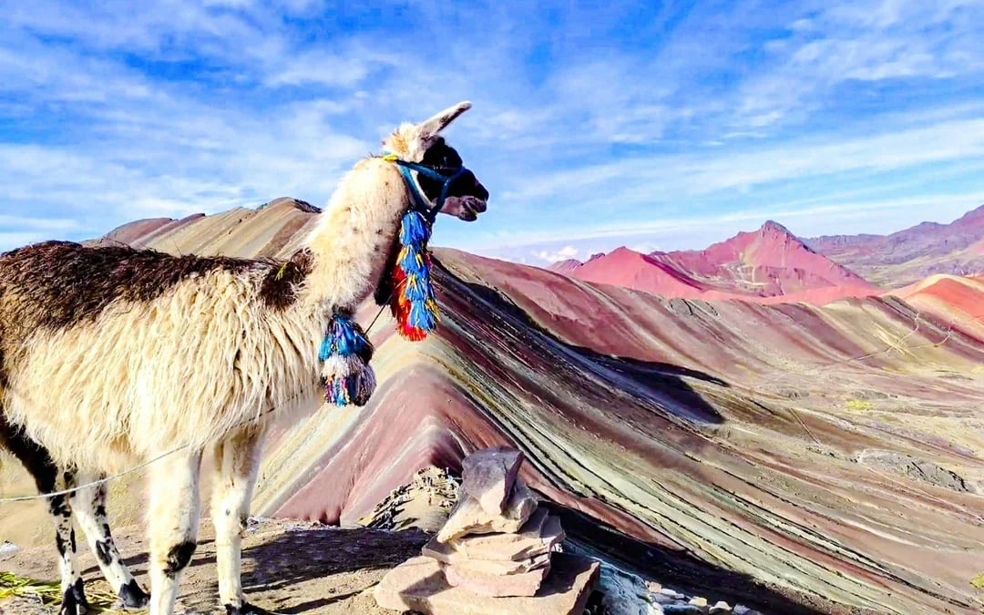 From Cusco: Rainbow Mountain and Red Valley Guided Hike Image 4