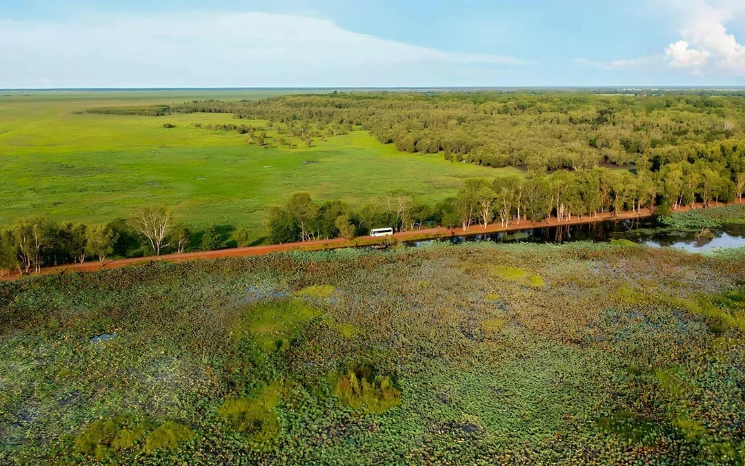 From Darwin: Kakadu Wilderness Full-Day Guided Tour Image 2