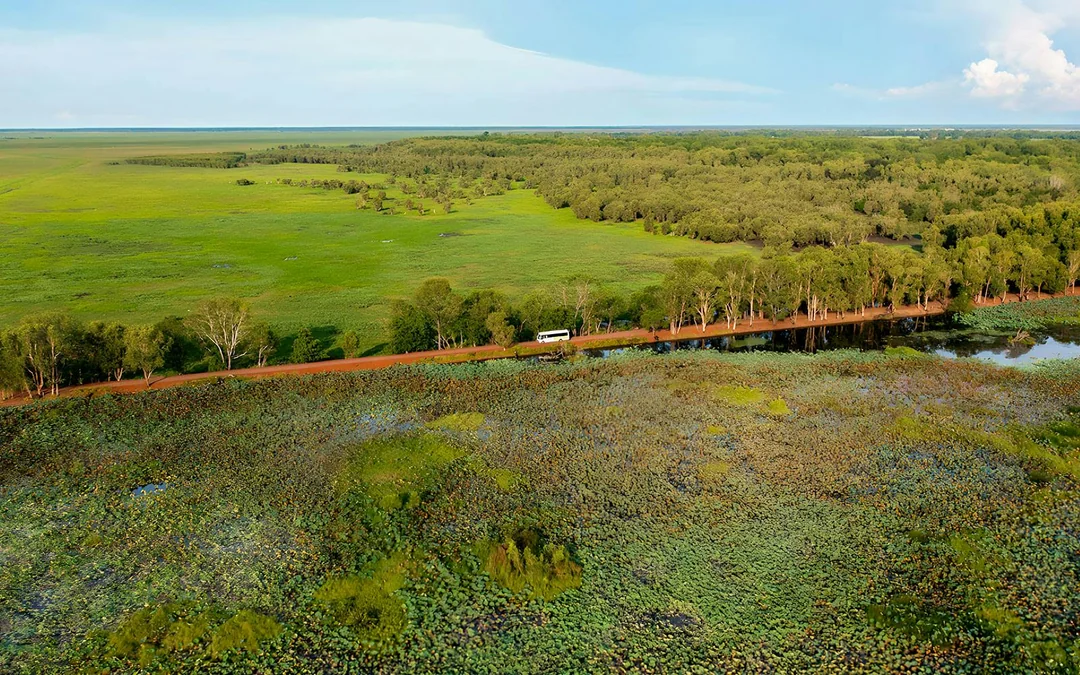 From Darwin: Kakadu Wilderness Full-Day Guided Tour Image 2