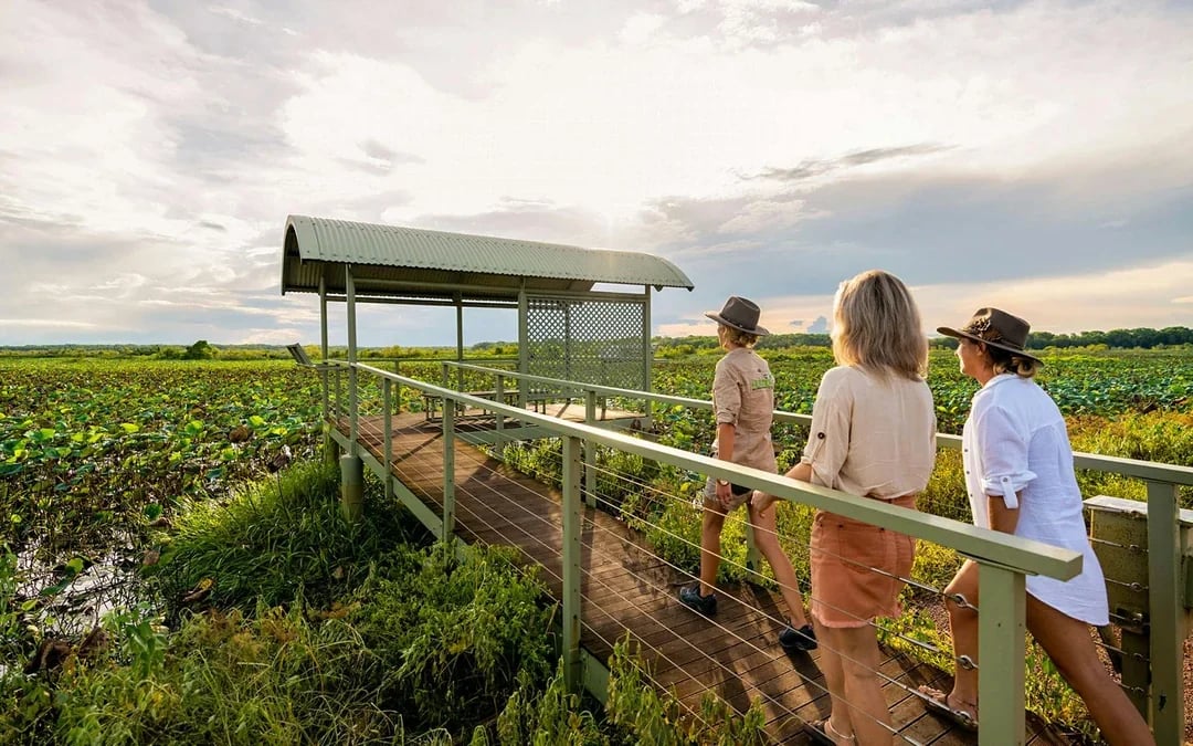 From Darwin: Kakadu Wilderness Full-Day Guided Tour Image 3