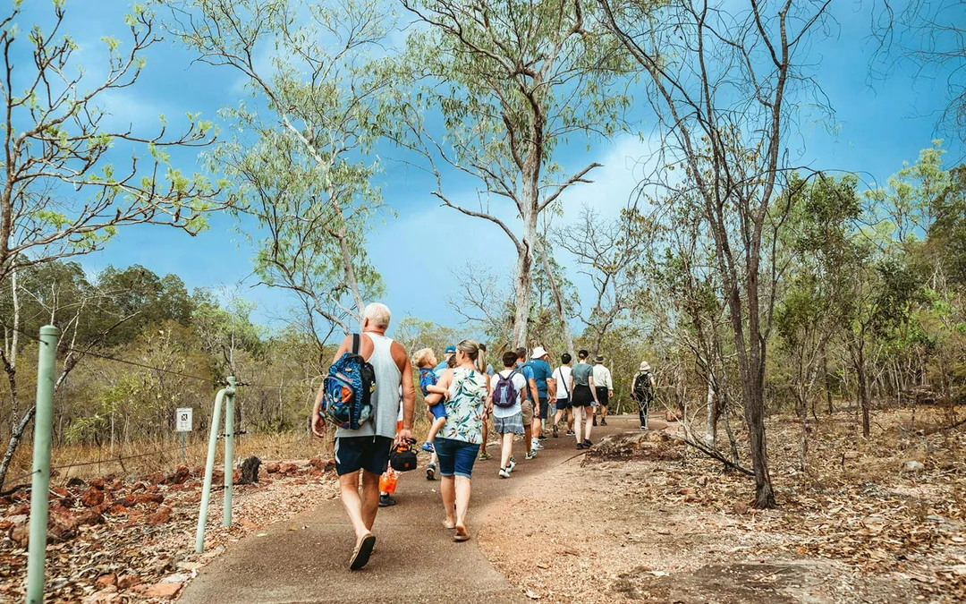 From Darwin: Litchfield & Waterfalls Tour with Transfers Image 2