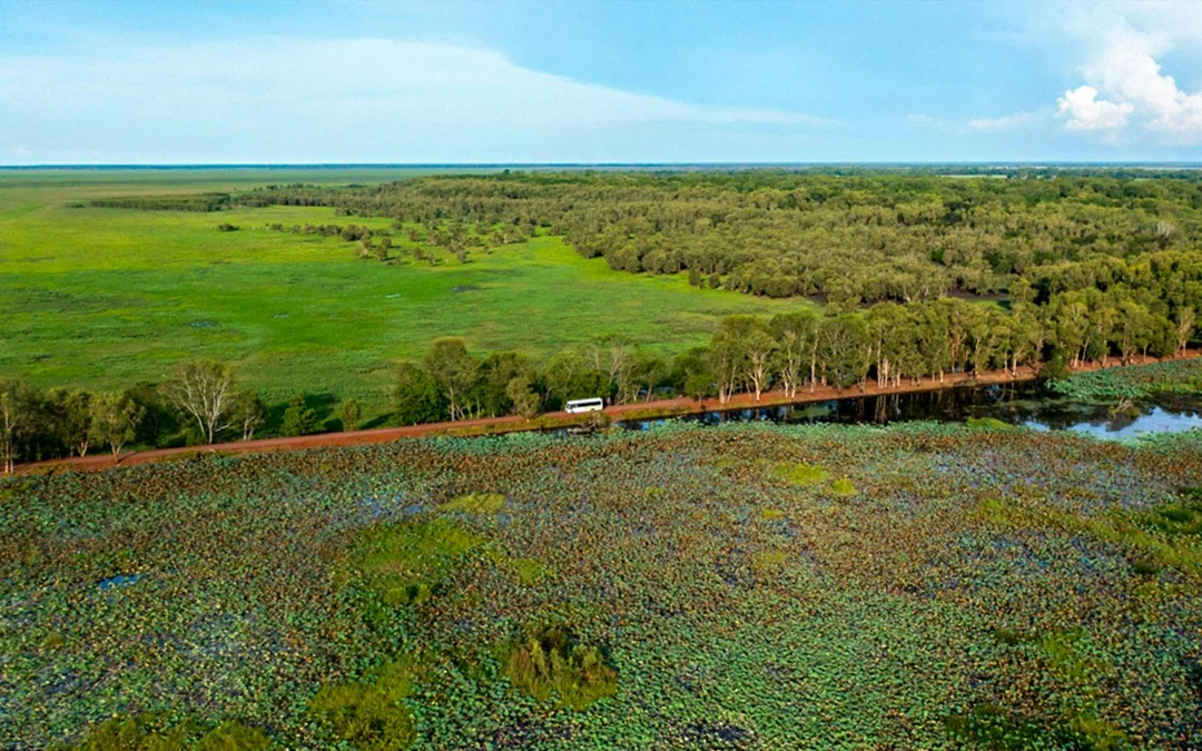 From Darwin: Litchfield National Park Day Tour with Optional Lunch Image 2