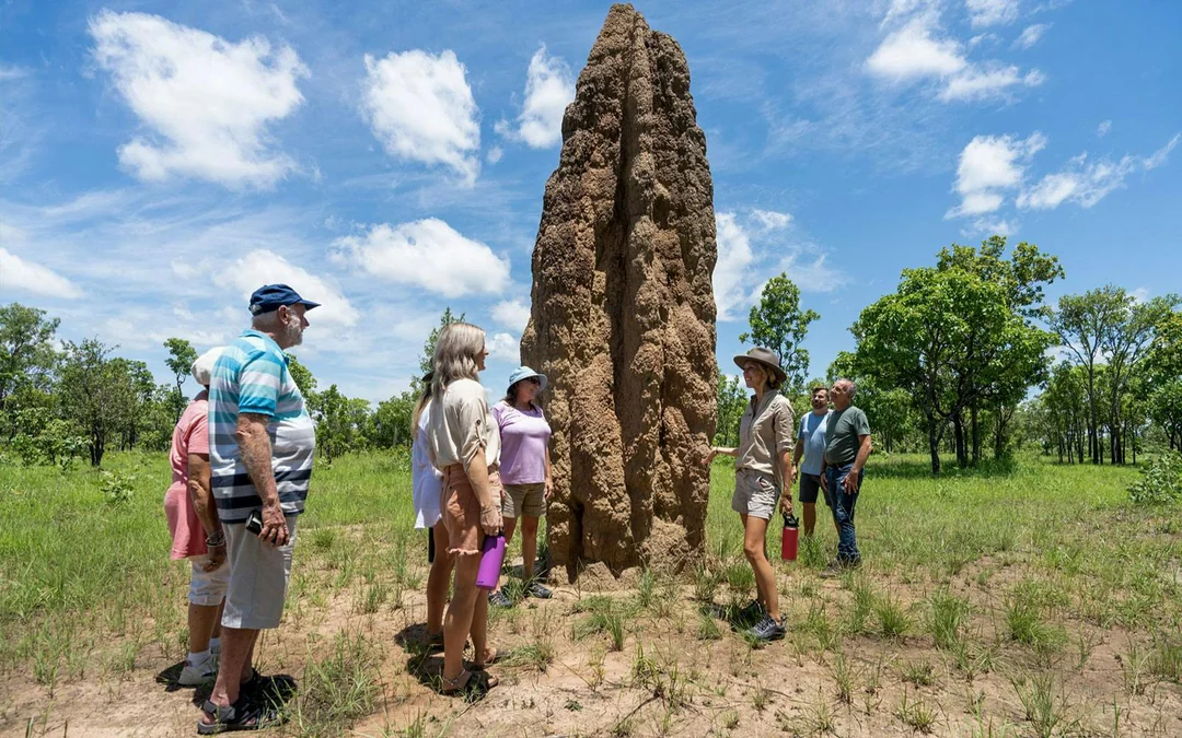 From Darwin: Litchfield National Park Day Tour with Optional Lunch Image 11