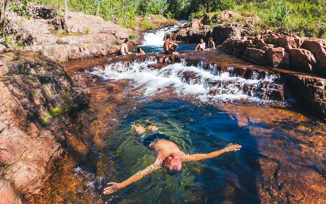 From Darwin: Litchfield National Park Day Tour with Optional Lunch Image 5
