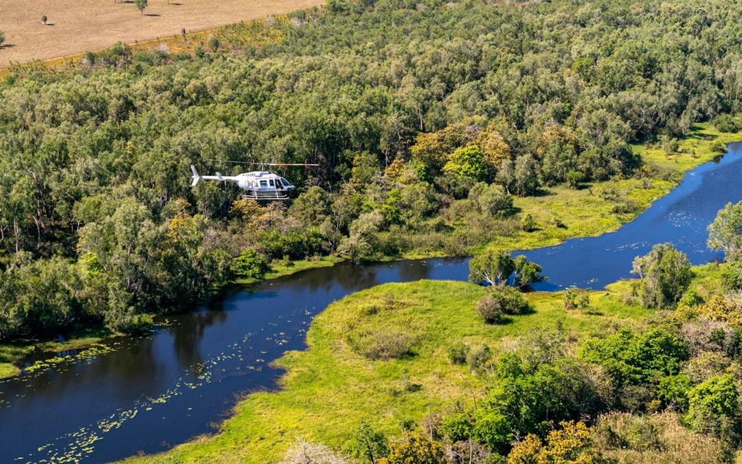 From Darwin: Top End Safari Camp Day Tour Around Finniss River Image 2