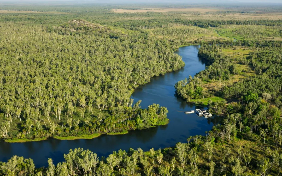 From Darwin: Top End Safari Camp Day Tour Around Finniss River Image 4