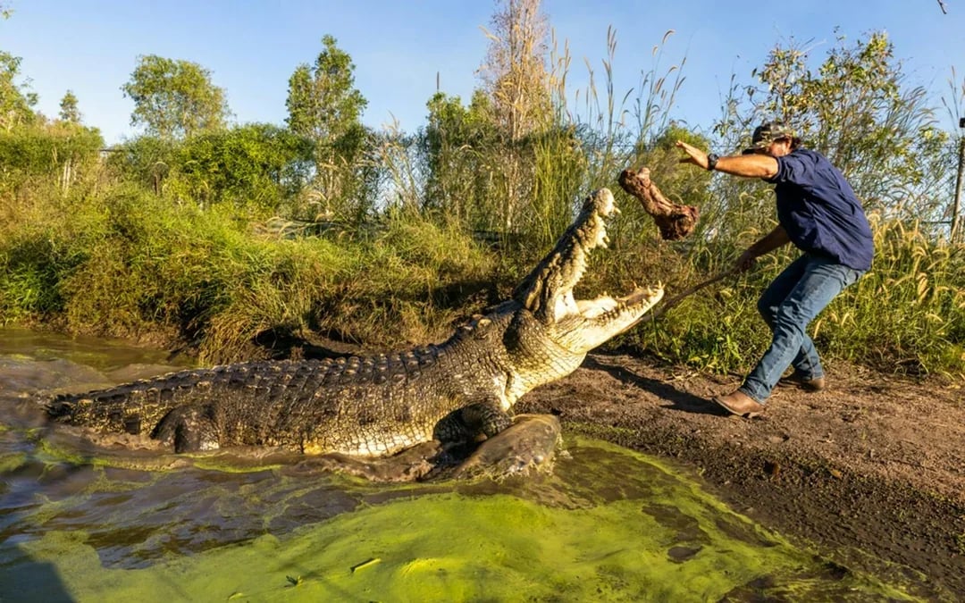 From Darwin: Top End Safari Camp Day Tour Around Finniss River Image 9