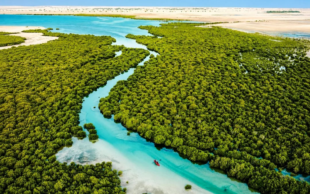 From Doha: Private North Qatar Day Trip to Al Zubarah UNESCO Site, Al Khor and Al Thakhira Mangroves Image 2