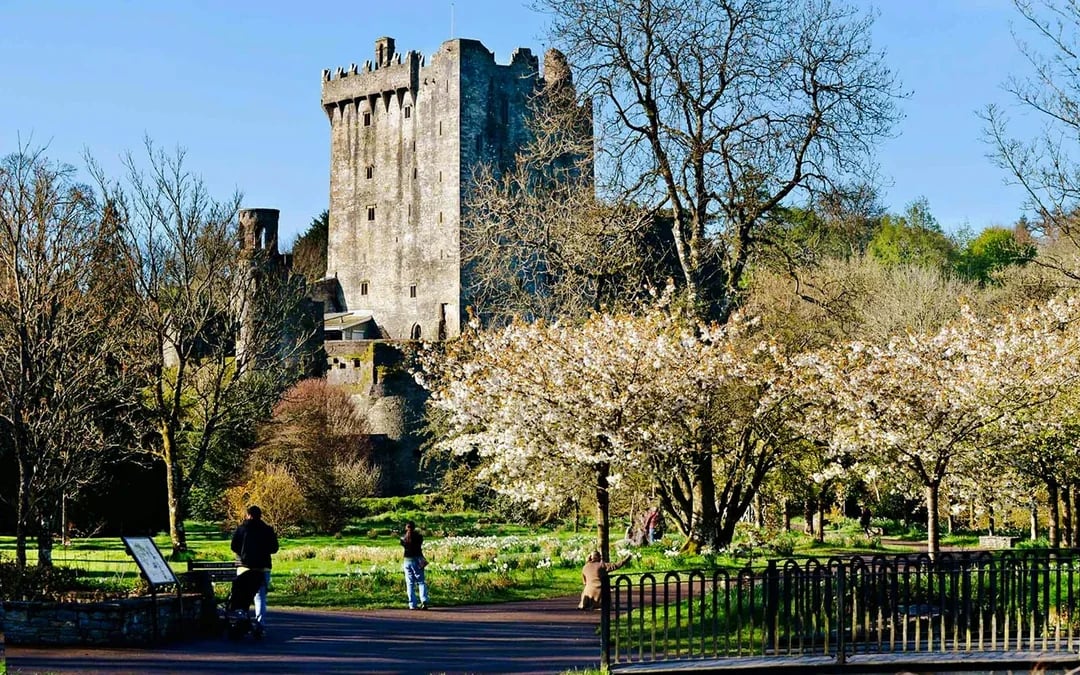 From Dublin: Blarney, Rock of Cashel & Cahir Castles Full-Day Tour Image 7