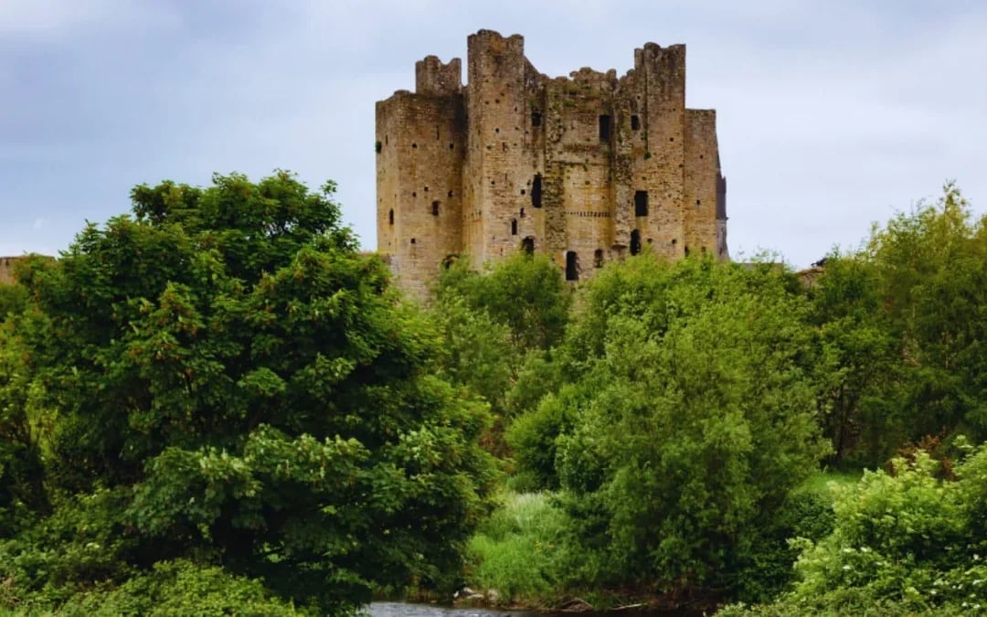From Dublin: Celtic Boyne Valley Full-Day Tour Image 3