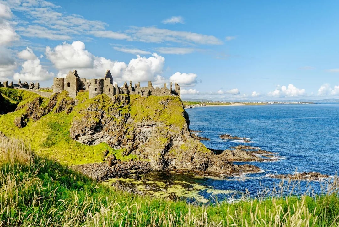 From Dublin: Giant's Causeway and Titanic Distillers Full-Day Tour Image 4