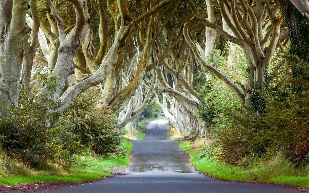 From Dublin: Giant's Causeway and Titanic Distillers Full-Day Tour Image 5