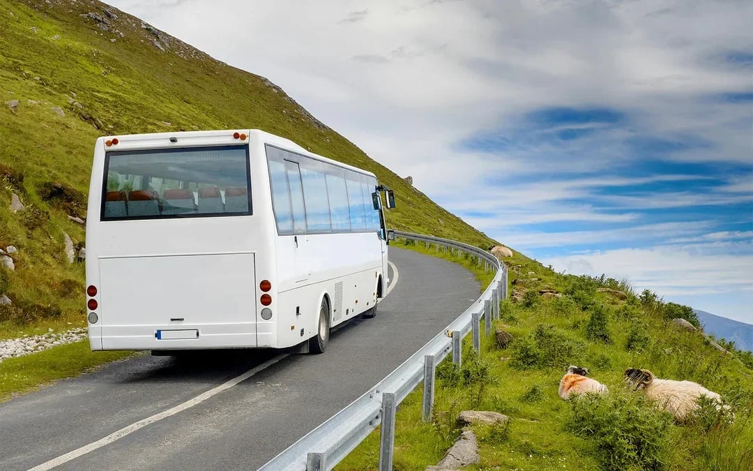 From Dublin: Glendalough, Wicklow, and Kilkenny with Sheepdog Trails Full-Day Trip Image 7