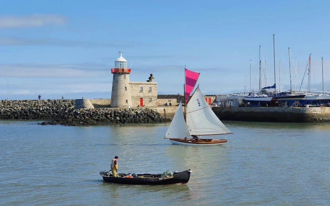 From Dublin: Half-Day Guided Coastal Tour to Howth Village Image 1