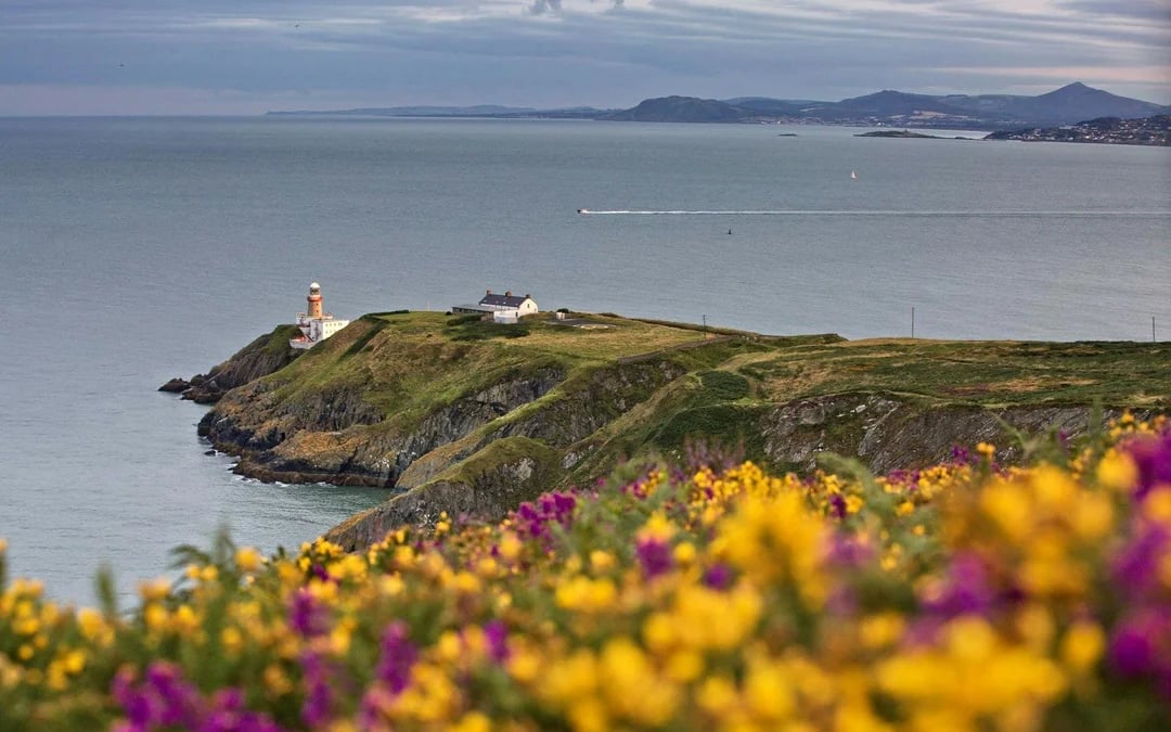 From Dublin: Half-Day Guided Coastal Tour to Howth Village Image 3